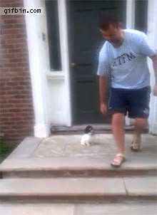 a man is standing on the steps with a cat in front of him and looking at his dog