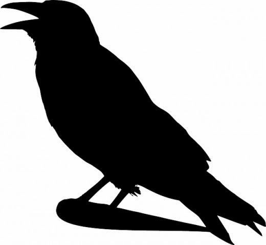 a black bird sitting on top of a tree branch silhouetted against a white background