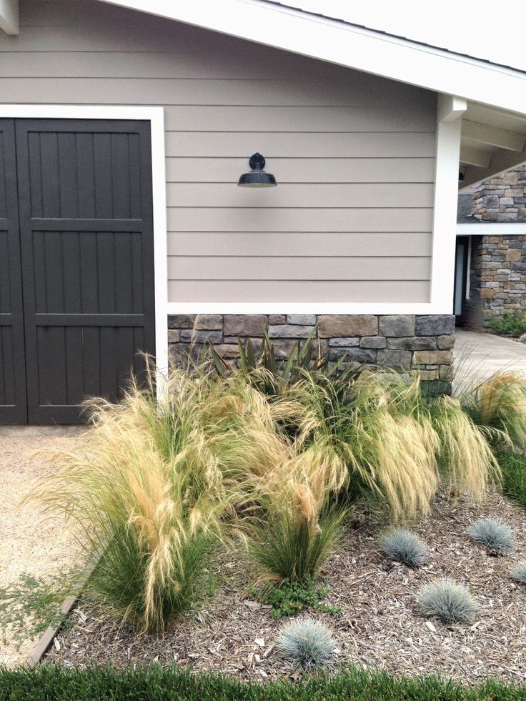 a house that has some plants in front of it and a garage door behind it