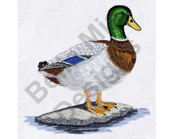 i love mallard ducks on a rock with the caption'i love mallard ducks '