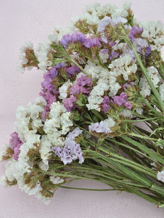 a bunch of purple and white flowers sitting on top of a pink tableclothed surface