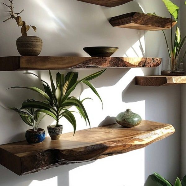 some plants are sitting on wooden shelves in a room