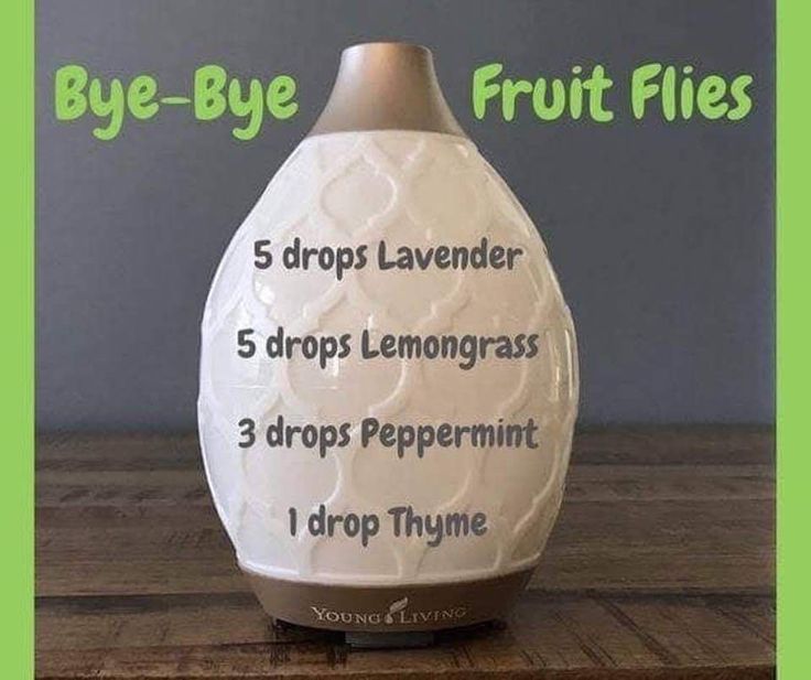 Essential Oils Diffuser, Essential Oil Combinations, Doterra Essential Oils Recipes, Fruit Fly, Essential Oil Diffuser Blends Recipes, Essential Oil Remedy, Young Living Essential Oils Recipes, Essential Oils Guide, Essential Oils Health