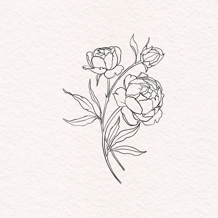 a line drawing of three flowers on a white background