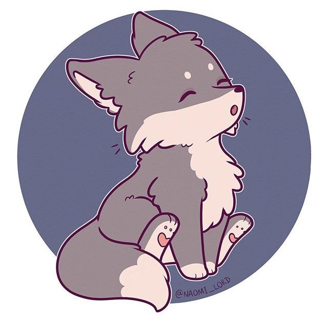 a drawing of a gray and white fox sitting in front of a blue circle