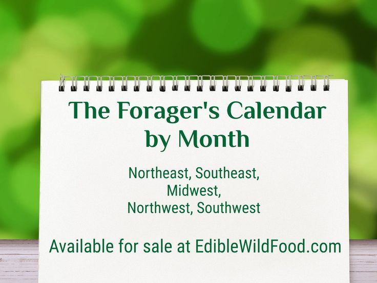 USA Foraging Seasons Foraging Calendar, Season Calendar, Edible Wild Plants, Southwest Usa, Wild Edibles, Wild Plants, Edible Plants, Camping Survival, South Dakota