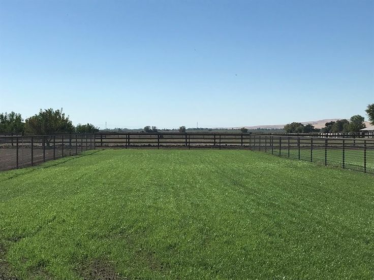 a fenced in area with grass and trees on the other side, surrounded by an open field