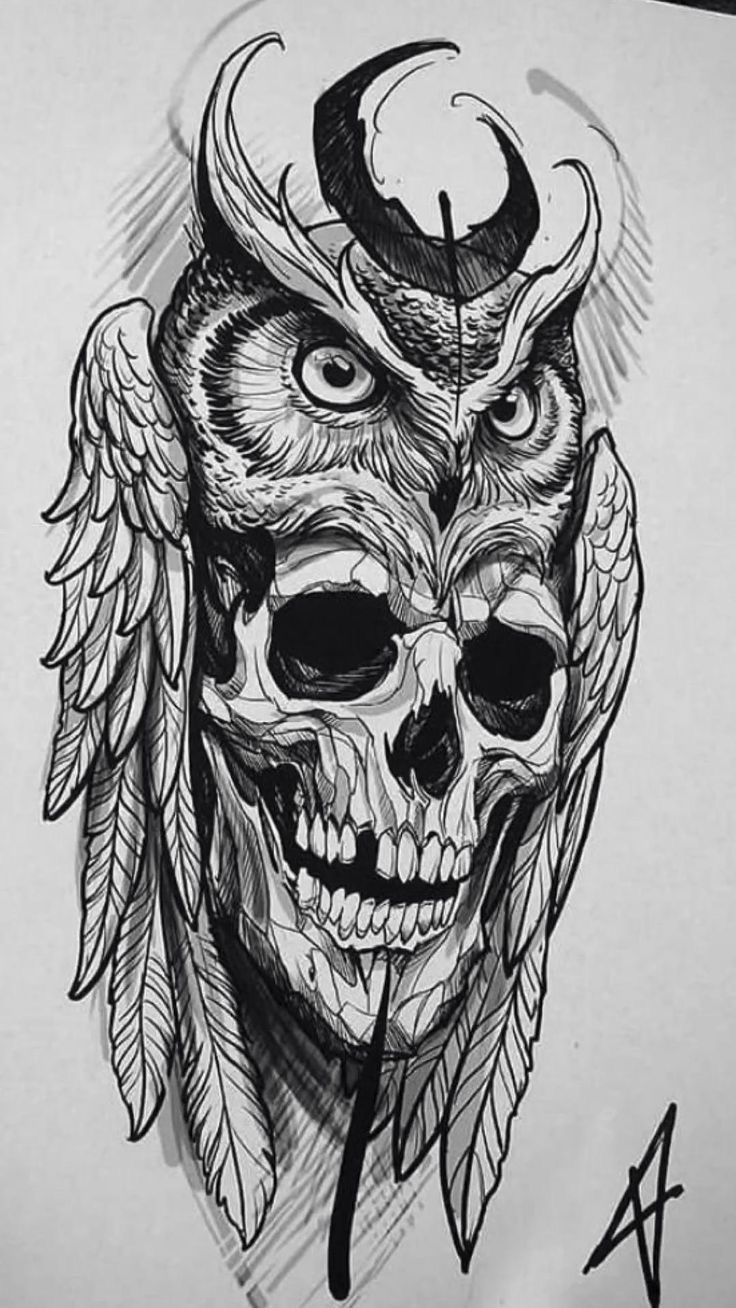 a drawing of a skull with horns and wings on it's head, in black ink