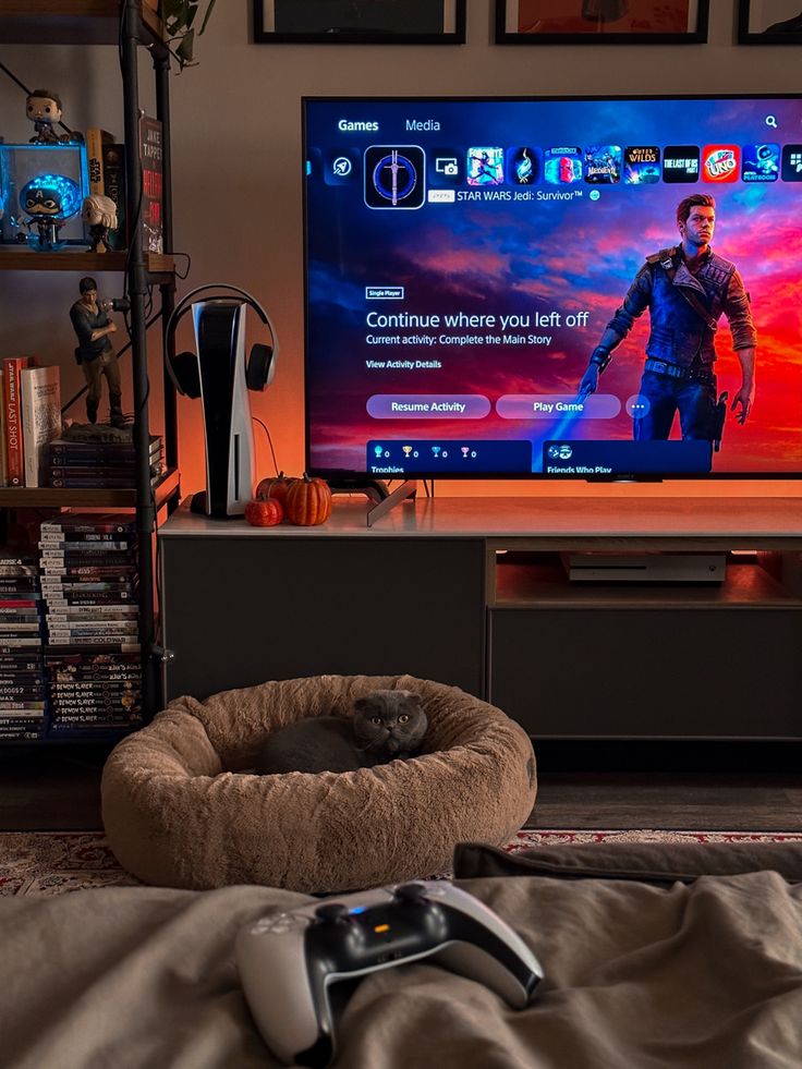 a flat screen tv sitting on top of a wooden entertainment center next to a dog bed