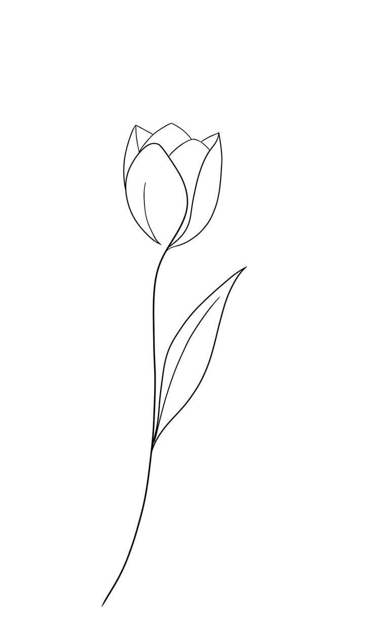 the outline of a single flower on a white background