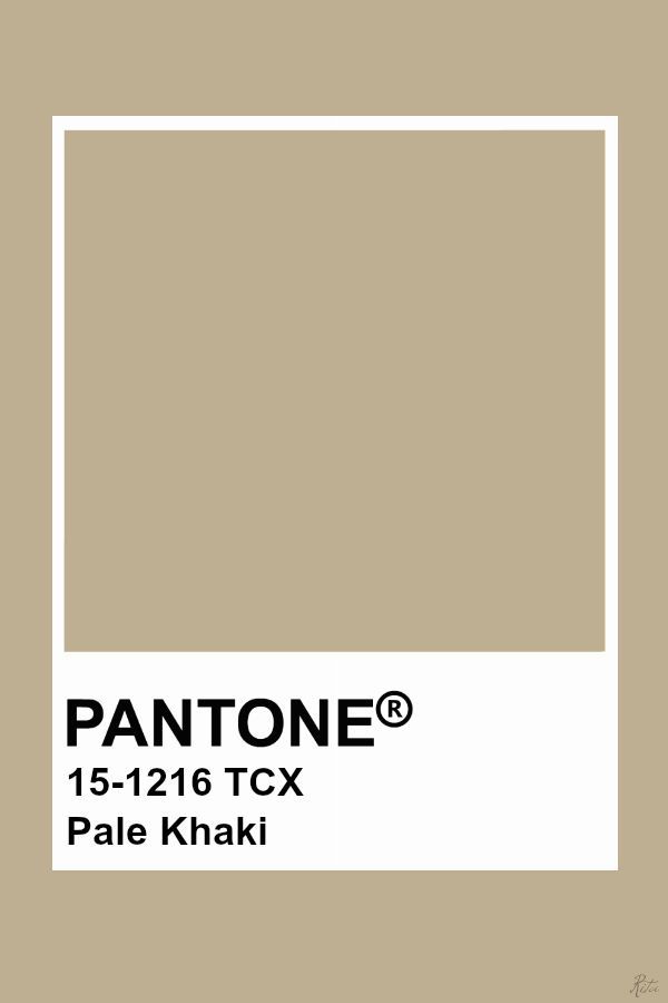 pantone's beige color is shown in this image