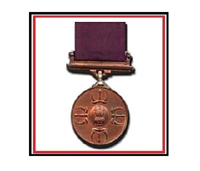 a medal with a purple ribbon around it