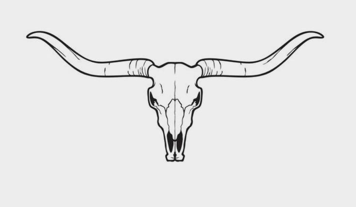 a bull's skull with long horns is shown in this black and white drawing