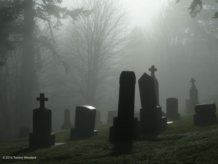 foggy graveyard with headstones and crosses in the foreground