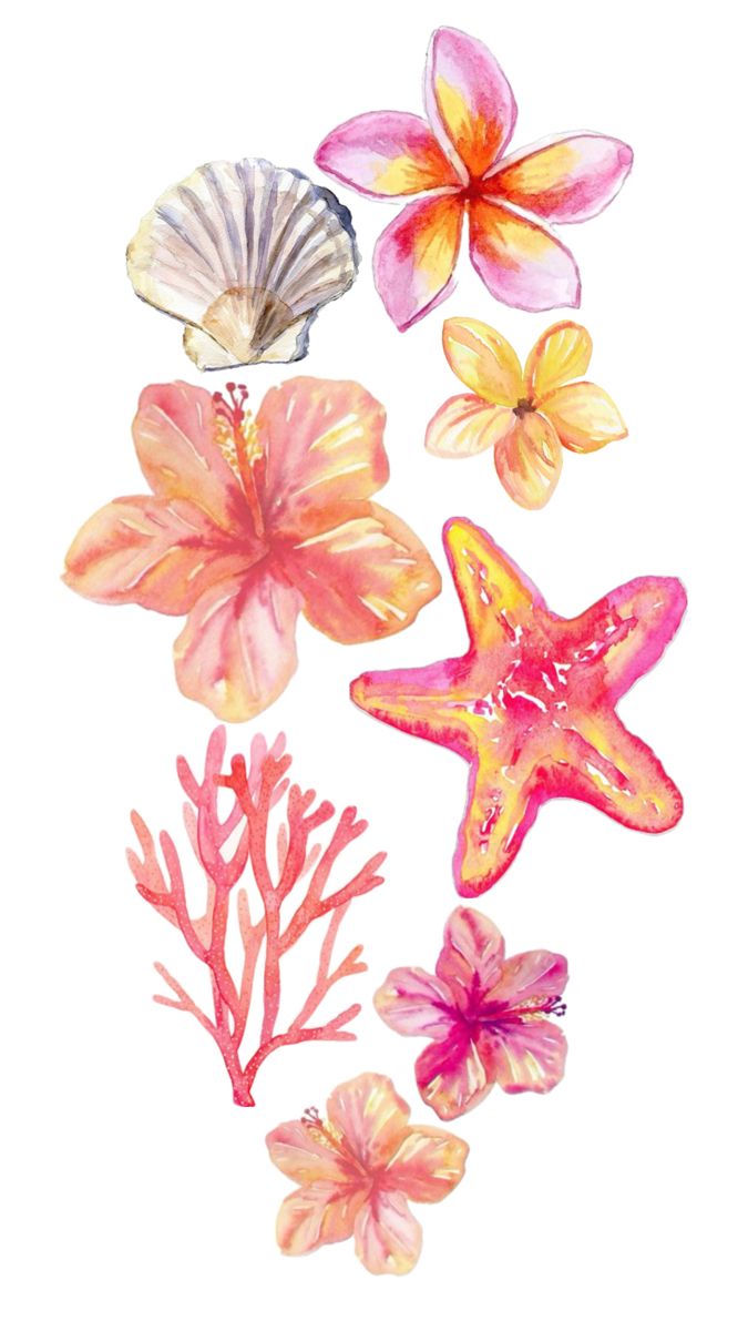 watercolor flowers and seashells are shown in pink, yellow, and orange