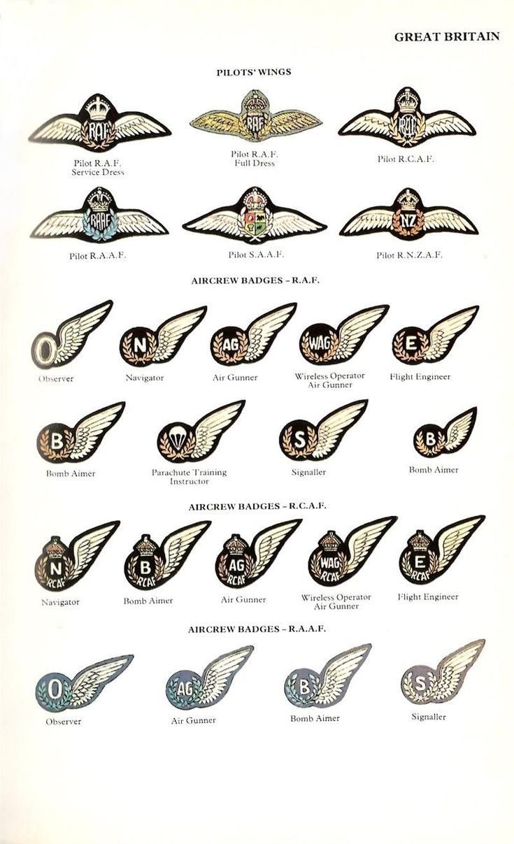 an old poster with many different types of wings and emblems on the side of it