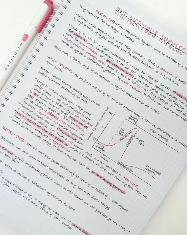 Aesthetic notes and handwriting Pink Notes, Handwriting Examples, School Study Ideas, Notes Inspo, Organization Notes, Note Ideas, College Notes, Aesthetic Notes, School Organization Notes