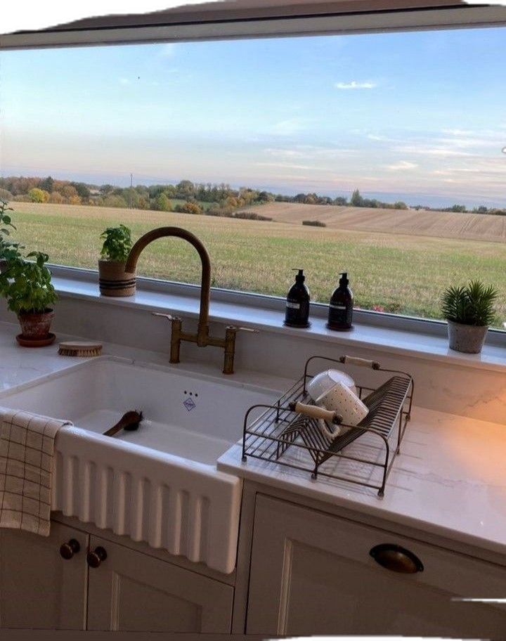 a kitchen sink sitting under a window next to a potted plant on top of a counter