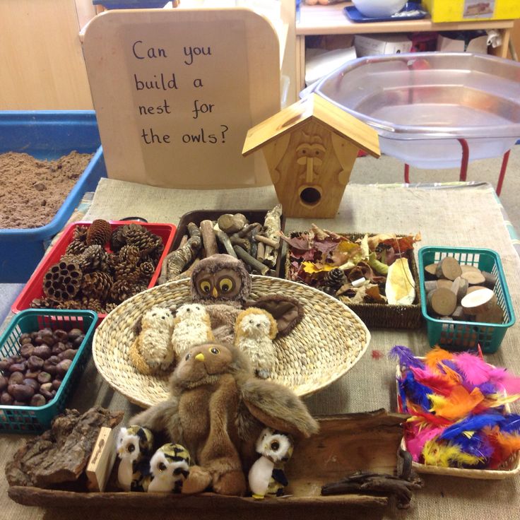 a table topped with lots of stuffed animals next to bins filled with dirt and rocks