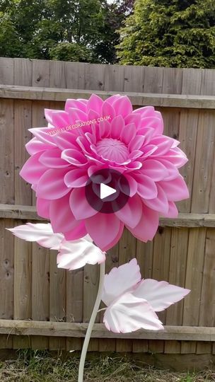 a large pink flower sitting on top of a lush green grass covered field next to a wooden fence