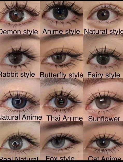 Eyelid Shapes Chart, How To Get Monolid Eyes Naturally, Eye Types Reference, Different Eyes Shapes, Different Types Of Eyes Shape, Pretty Eye Shape, Roundish Almond Eyes, Types Of Asian Eyes, East Asian Eyes