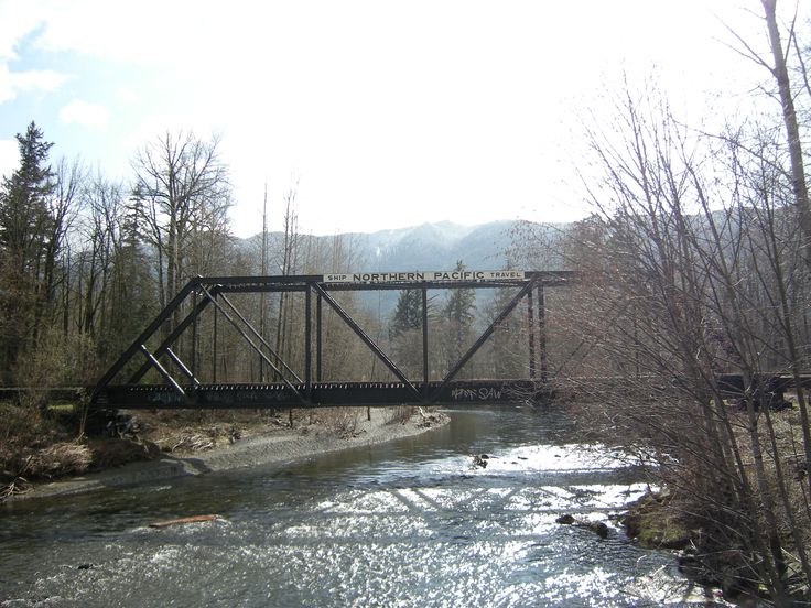 a bridge over a river surrounded by trees