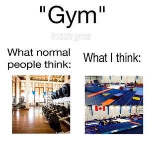 gym what normal people think what i think about it and how to use it in the gym