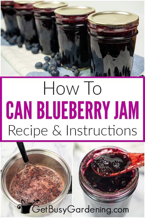 how to can blueberry jam recipe and instructions