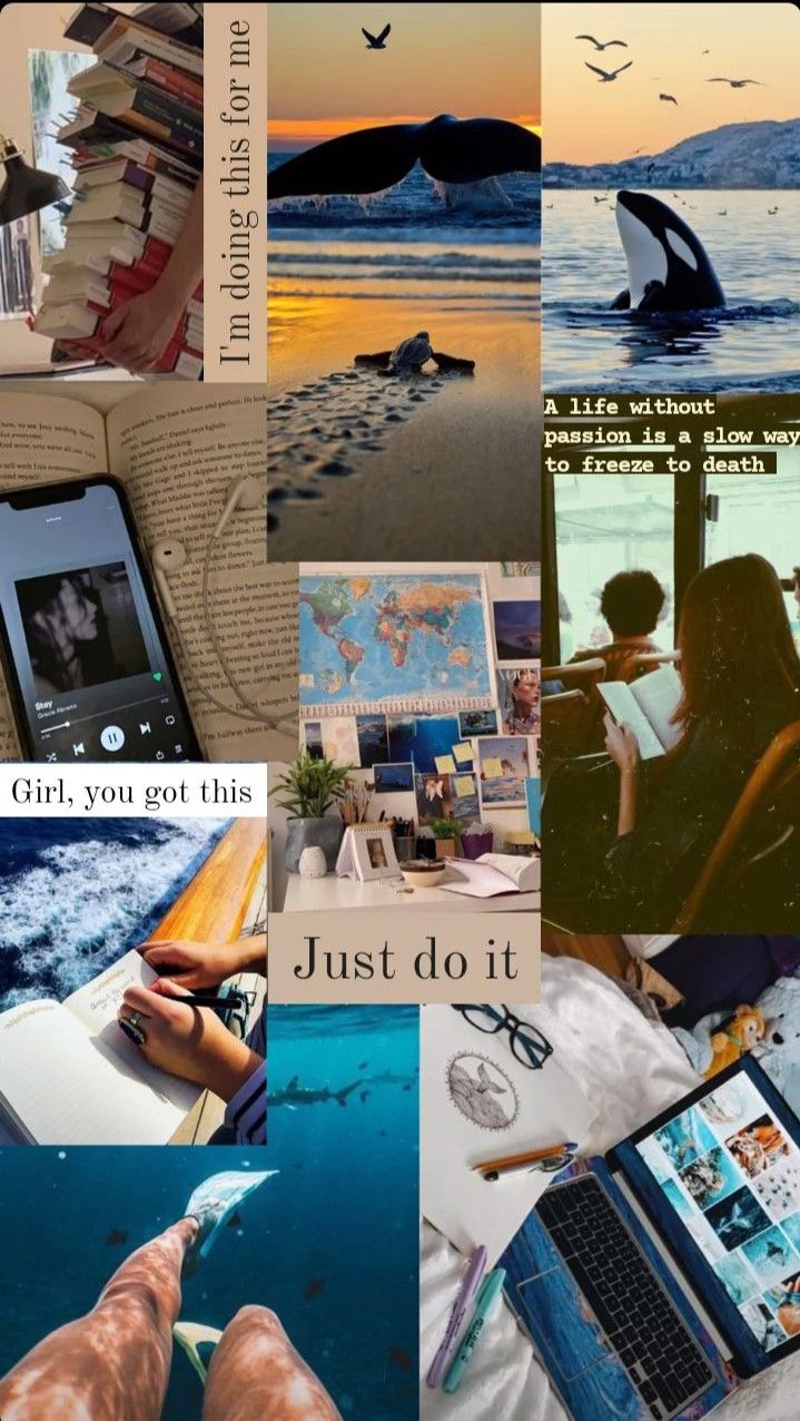 Orca, music, diving, taking notes, book lover, marine bio. Life Of A Marine Biologist, Vision Board Marine Biologist, Marine Biologist Aesthetic Pictures, Marine Biologist Room Decor, Marine Biologist Vision Board, Marine Biologist Quotes, Marine Biology Bedroom Themed Rooms, Future Marine Biologist, Environmental Biology Aesthetic