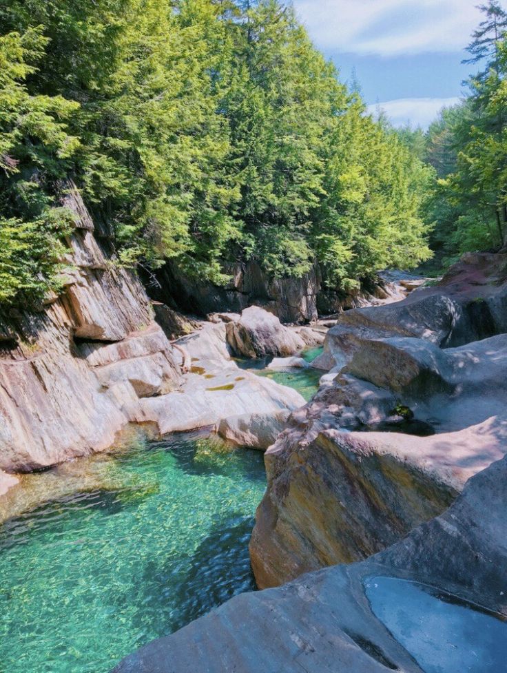 a river running through a lush green forest filled with rocks and water surrounded by trees