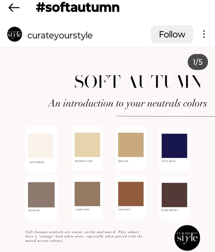 Autumn Neutrals, Soft Autumn Neutral Color Palette, Soft Autumn Fall Outfits, Soft Autumn Hair Color Brown, Soft Autumn Wardrobe, Soft Autumn Capsule Wardrobe, Soft Autumn Outfits Capsule Wardrobe, Modest Outfits Aesthetic, Deep Autumn Palette