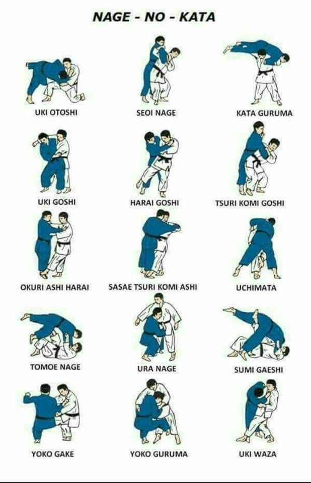 an image of karate moves for beginners to do in different positions, with the names and