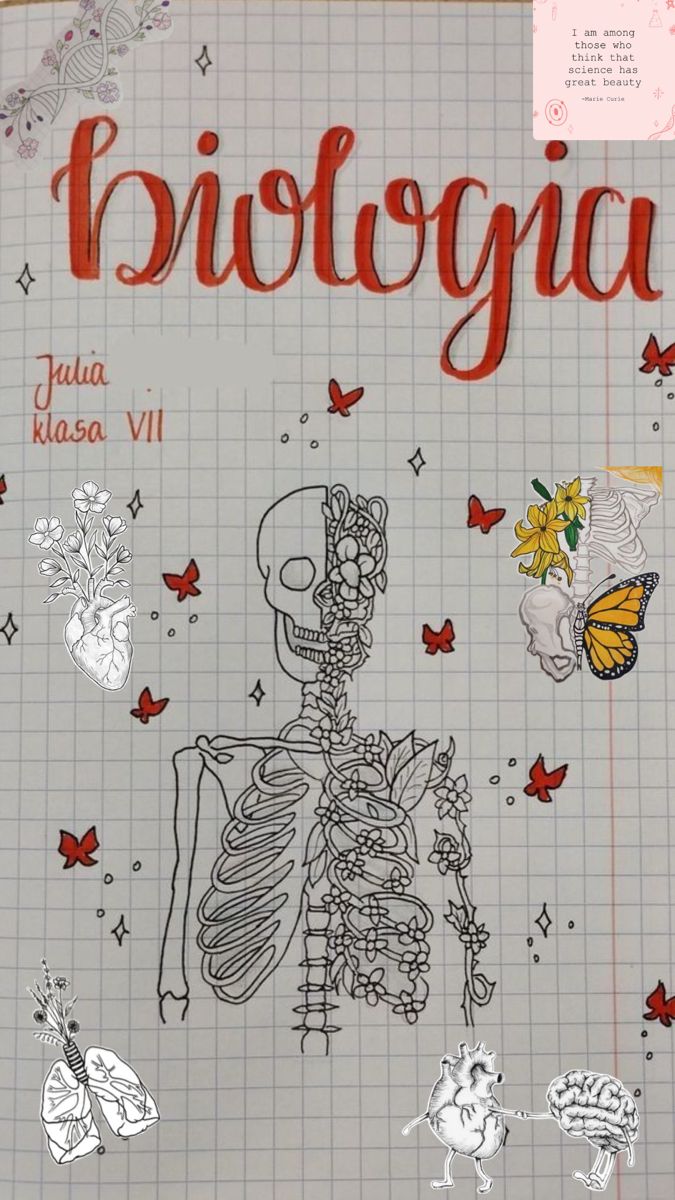 a drawing of a skeleton and butterflies on a piece of paper with the words biologia written in spanish