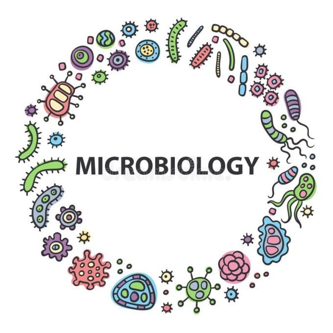 the word microbiology surrounded by doodles of different types of animals and plants