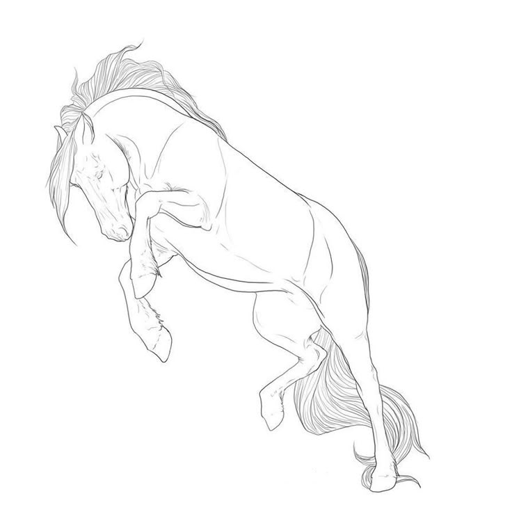 a drawing of a horse jumping in the air with it's front legs spread out