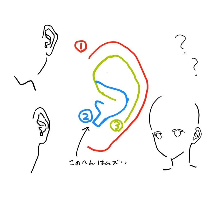 a drawing of a person's ear with question marks on the front and side