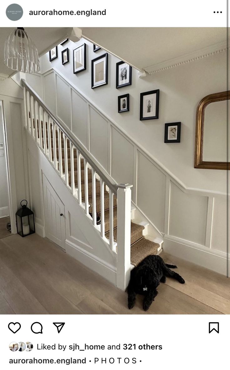 a black dog laying on the ground underneath a stair case next to a white wall