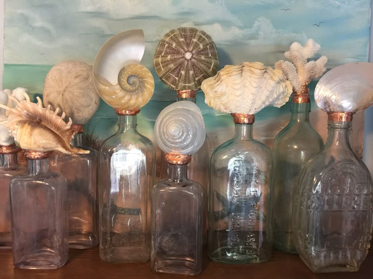 there are many bottles that have shells in them