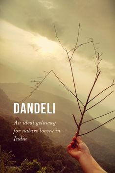 a hand holding a tree branch with the words dandeli on it in front of mountains