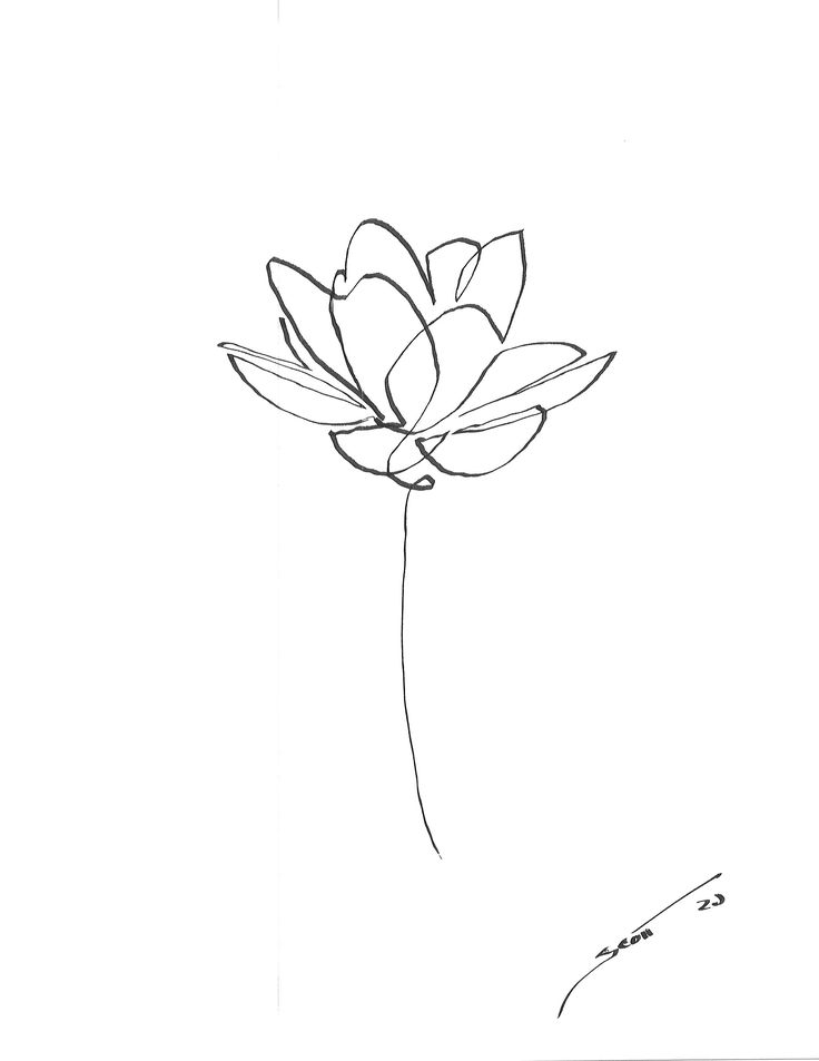 a black and white drawing of a flower