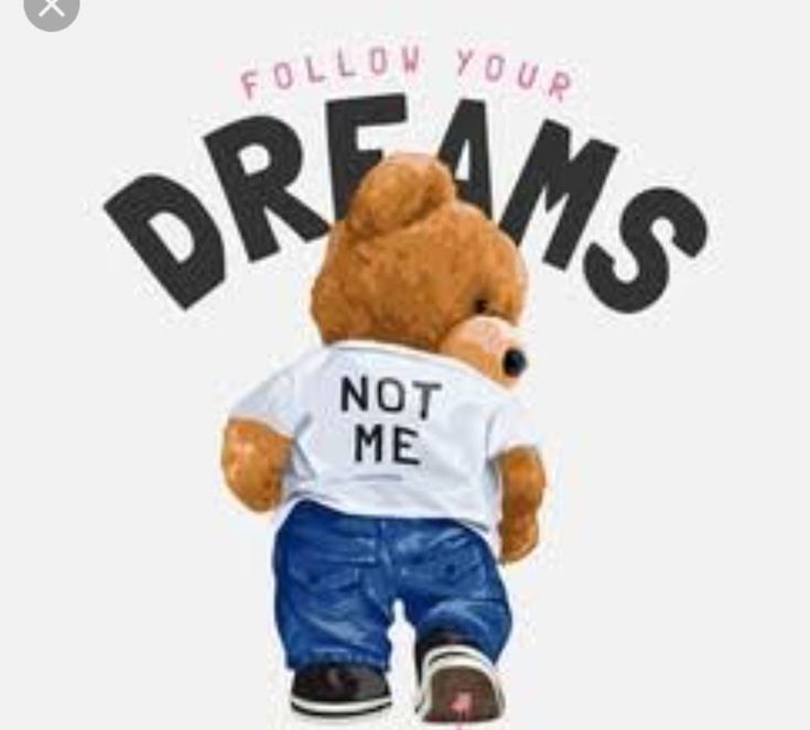 a teddy bear with a t - shirt that says, follow your dreams not me