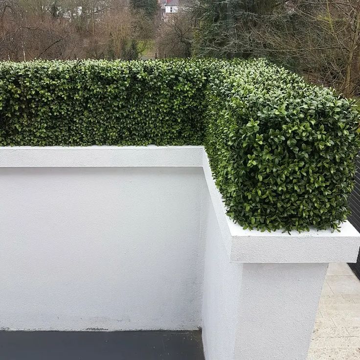 a white planter sitting on top of a cement wall next to a black fire hydrant