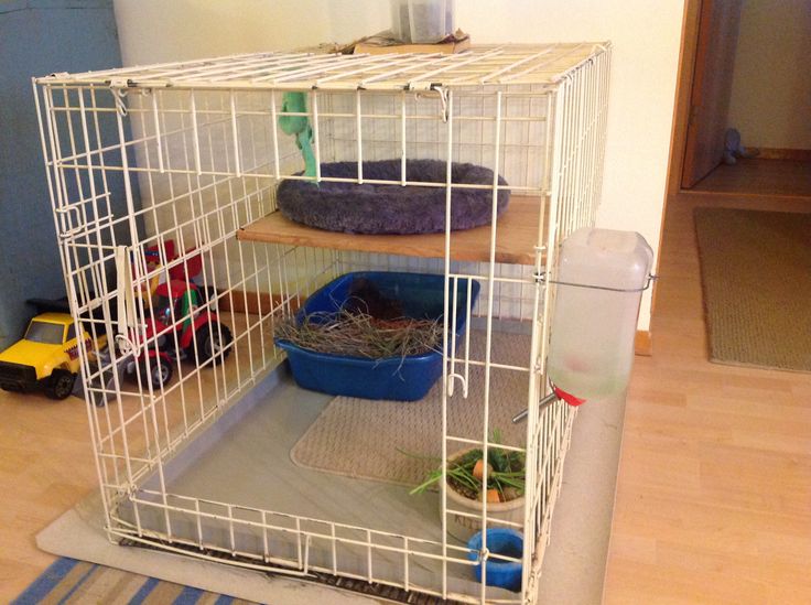 a white cage with two shelves filled with birds and other items on top of it