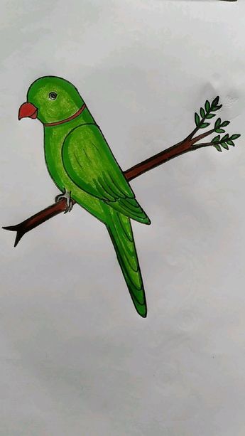 a drawing of a green bird sitting on a branch with an arrow in it's beak