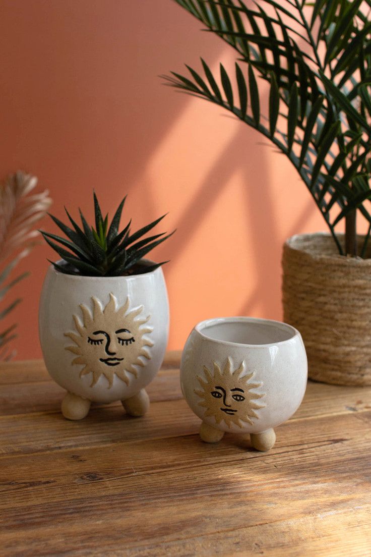 two planters with faces painted on them sitting on a table next to a potted plant