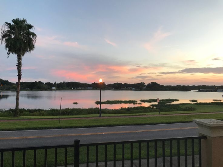 the sun is setting over a body of water with palm trees in the foreground