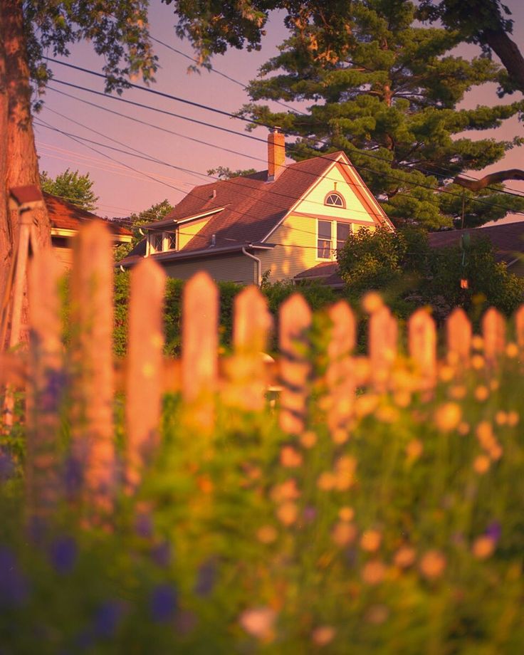 the house is surrounded by tall trees and purple flowers in front of it, as seen from across the yard