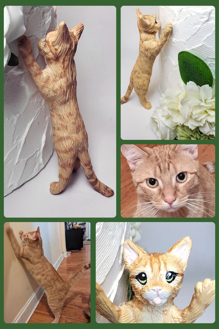 there are four pictures of different cats in the same photo, and one has an orange tabby cat on it's back legs