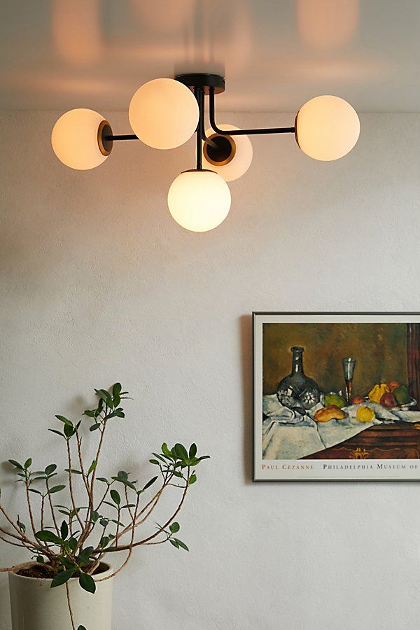 a potted plant sitting on top of a wooden table next to a white wall