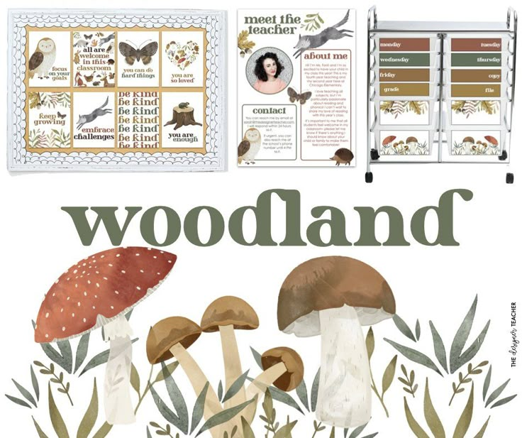 an illustrated book with illustrations of mushrooms and other things in the pages, including information about woodland